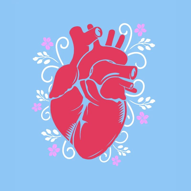 Cardiogram, cardiography, sonography, ultrasound