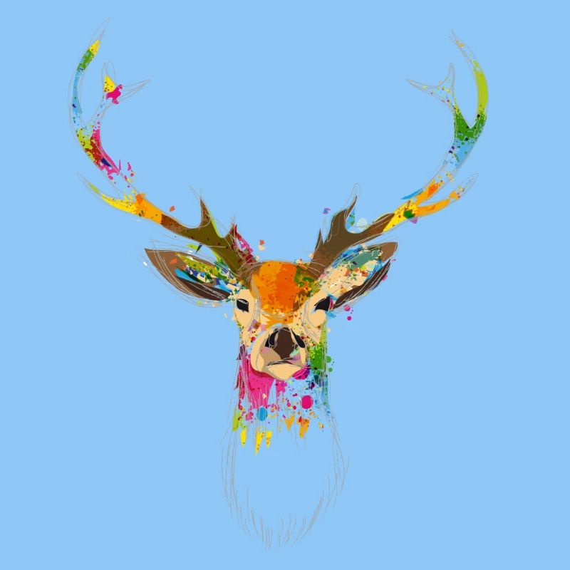 Tête de cerf colorée – Conception à l’aquarelle et au graffiti