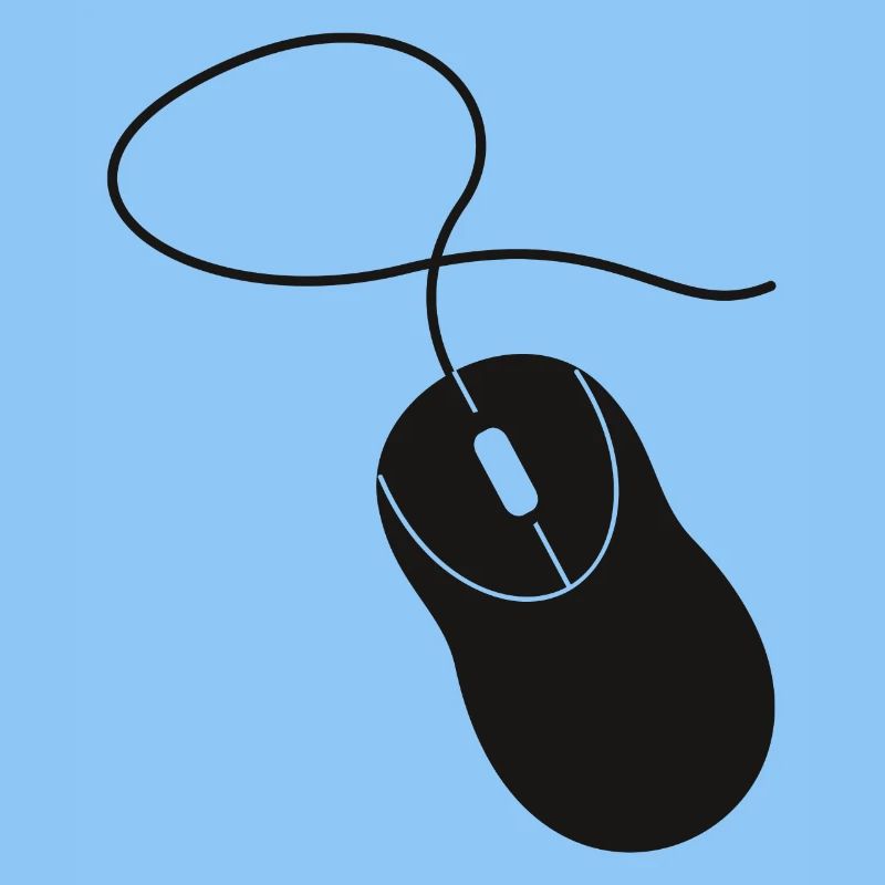 computer mouse