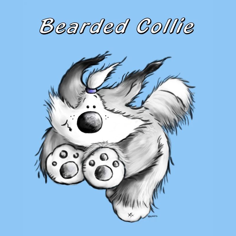 Running Bearded Collie