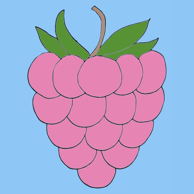 Pink Raspberry Illustration