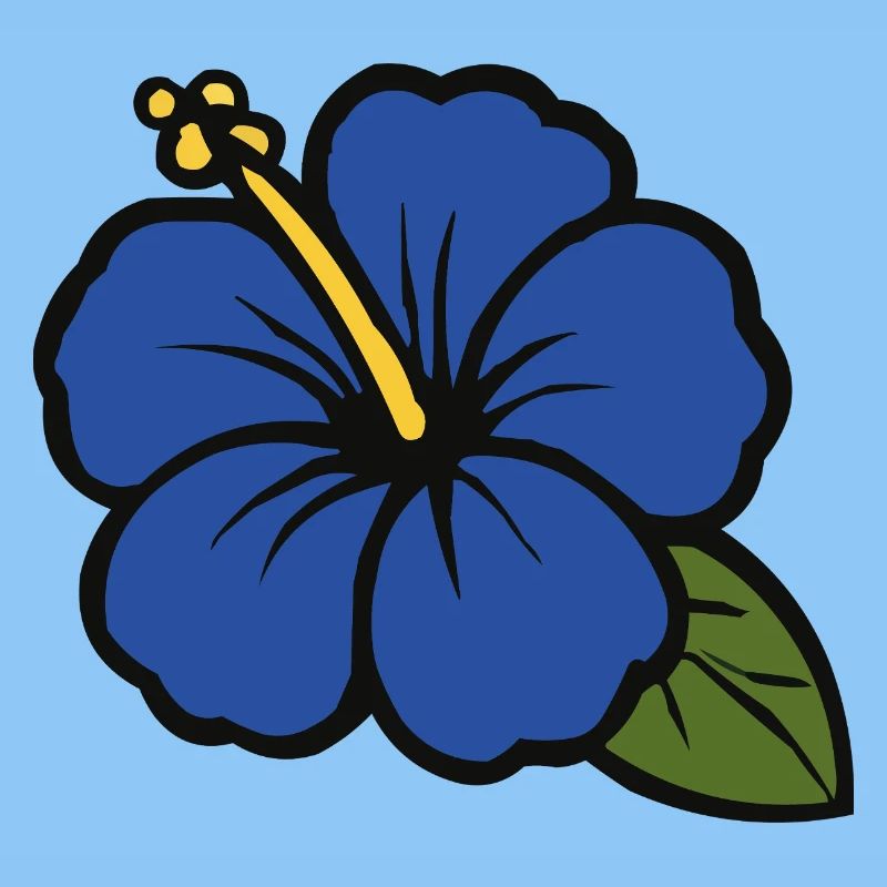 Fleur d’hibiscus
