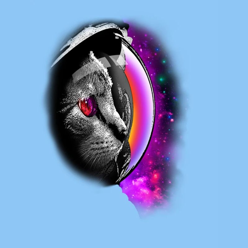 SPACECAT