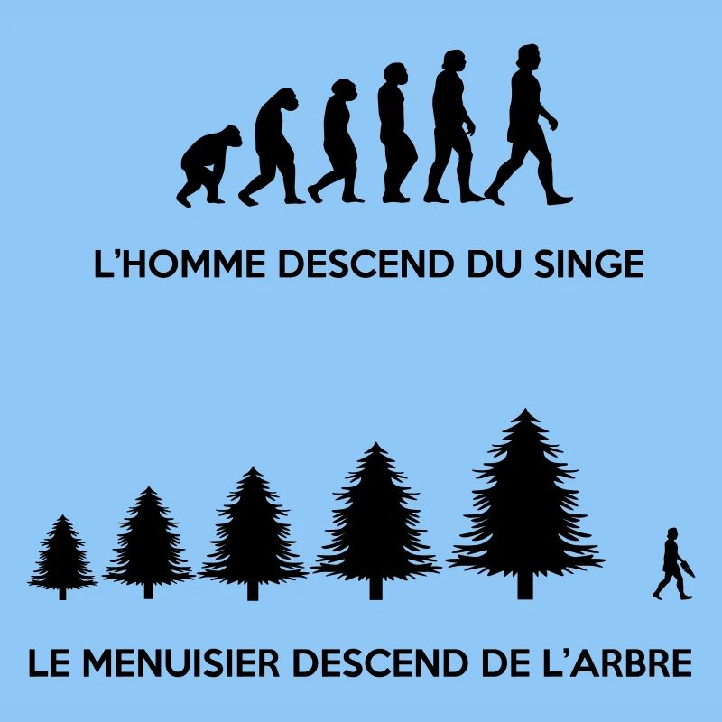 Evolution du menuisier