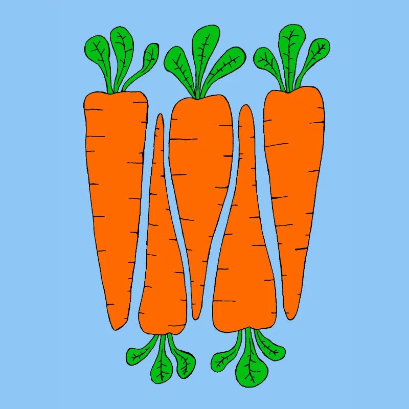 Carottes