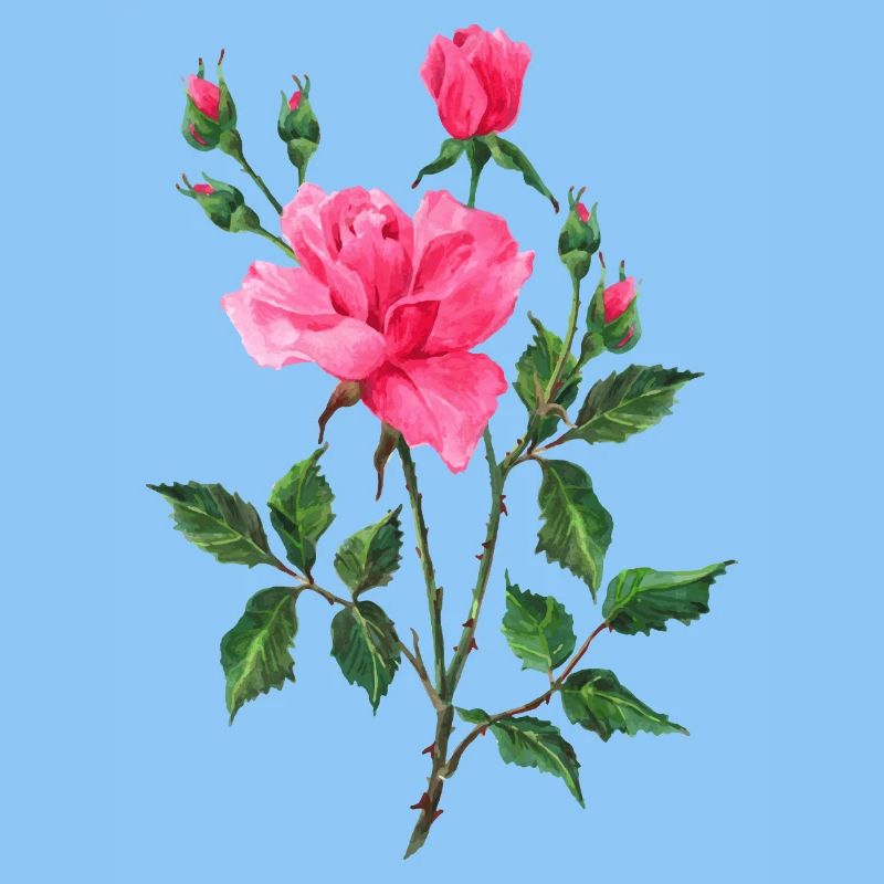 Fleur
