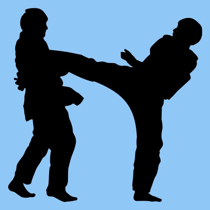 kickers taekwondo