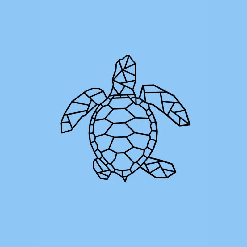 Turtle gift idea