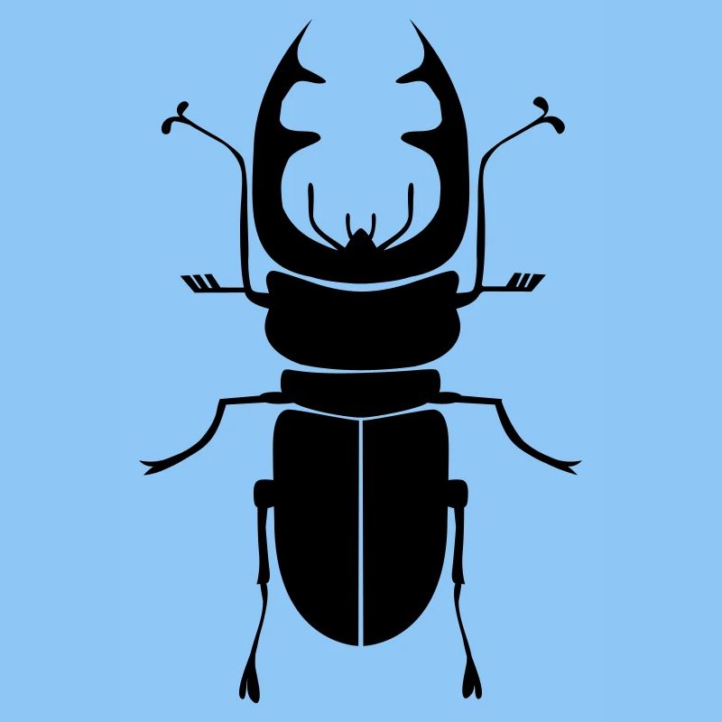 Beetle
