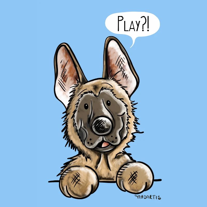 Malinois Play