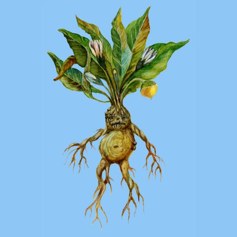 Grim Root Creature Fantasy Design