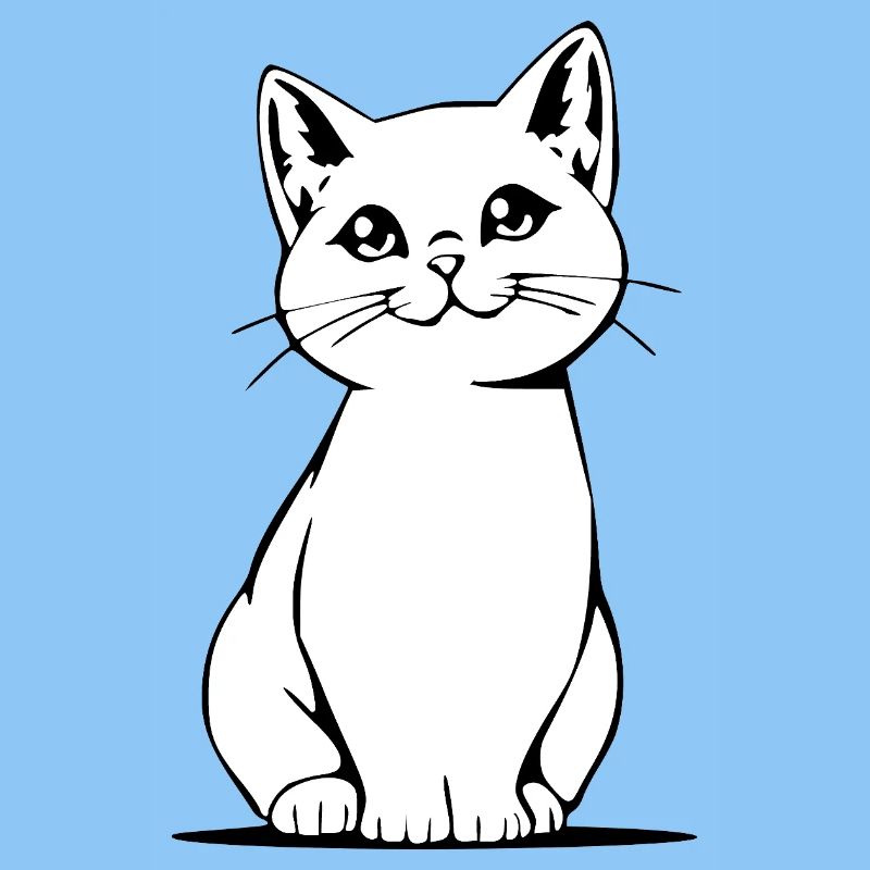 Cadeau de Noël pour un chat Noir et Blanc pour chat