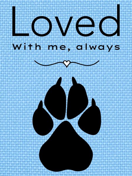Dog – loved