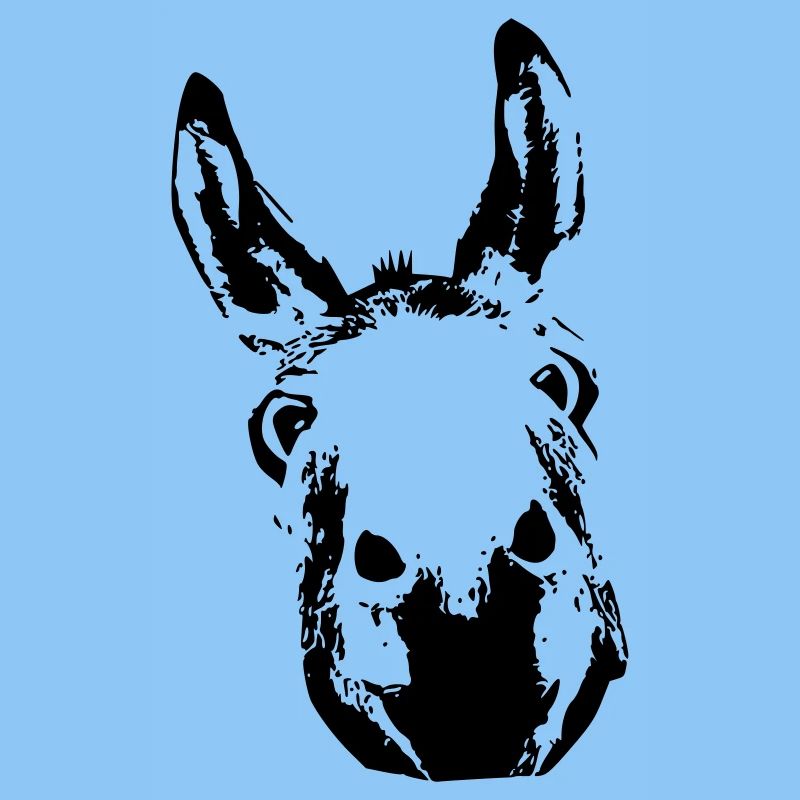 Donkey King