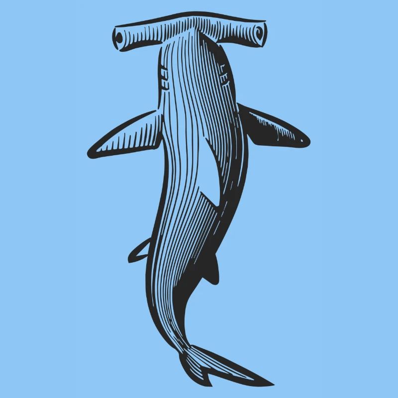 Conception de requin marteau