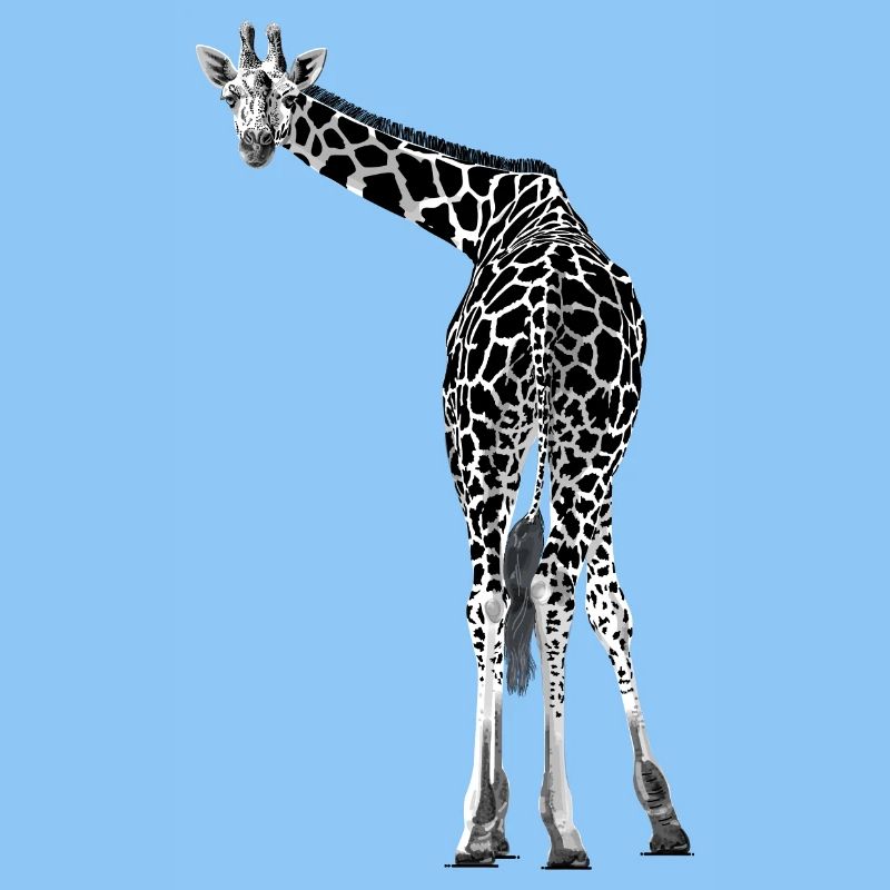 Giraffe greets friendly