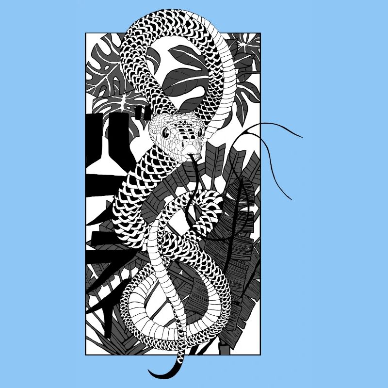 Snake 2