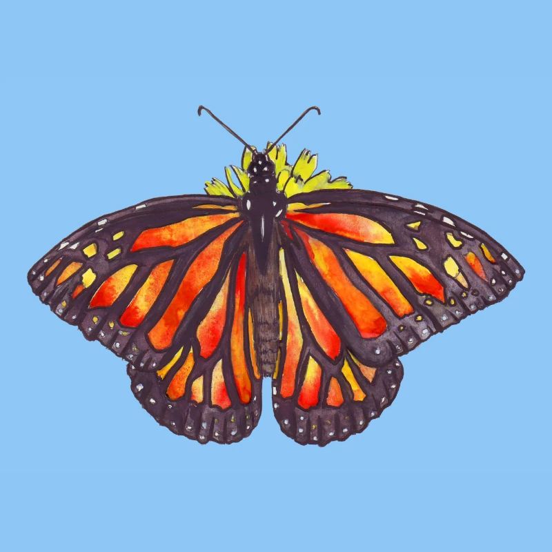 papillon monarque sur une fleur avec les ailes ouvertes