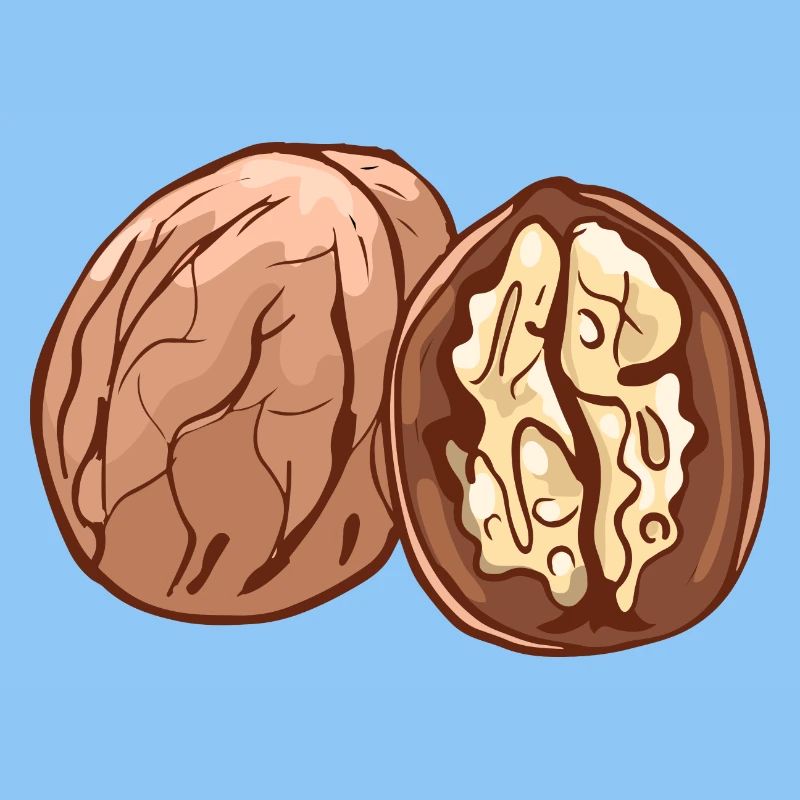Noix de noix