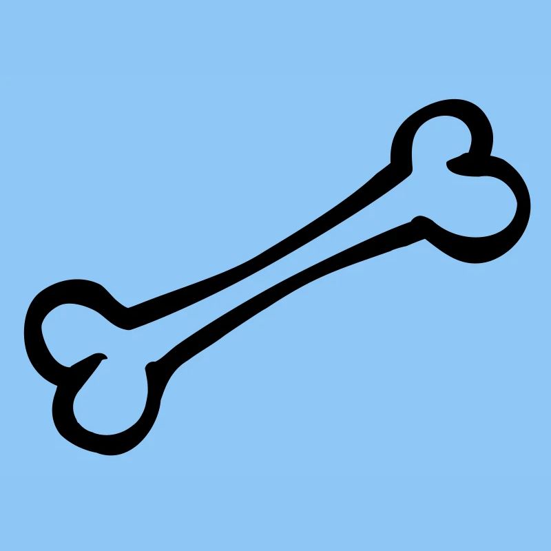 bone_r1