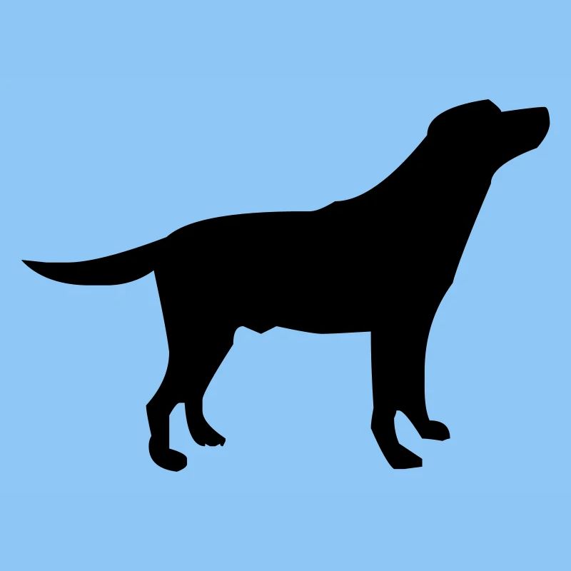hund