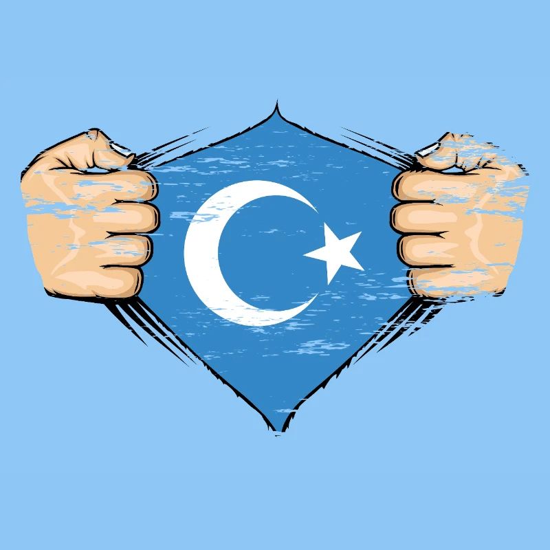 Design de drapeau ouïghour utilisé