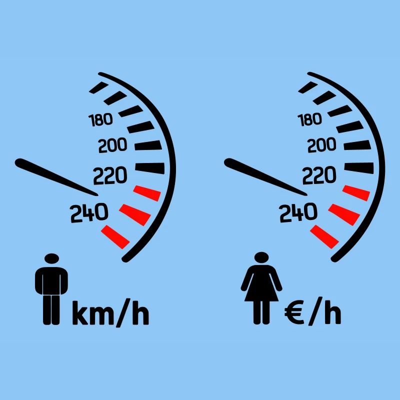 Speedometer km/h and expense meter