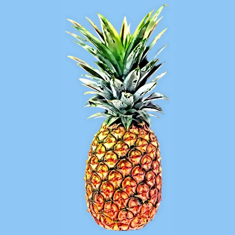 Ananas princesse