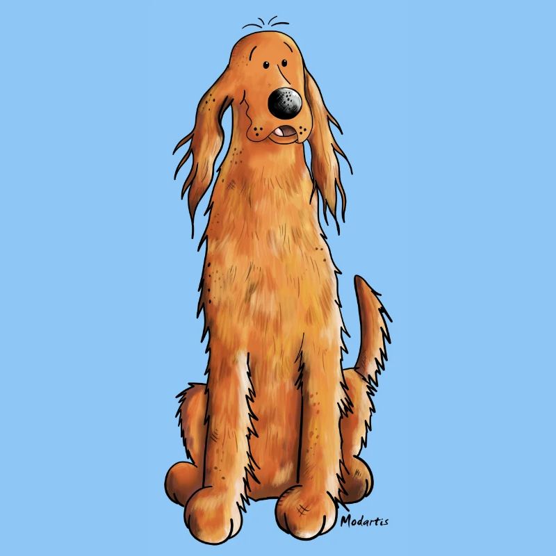 Funny Irish Setter