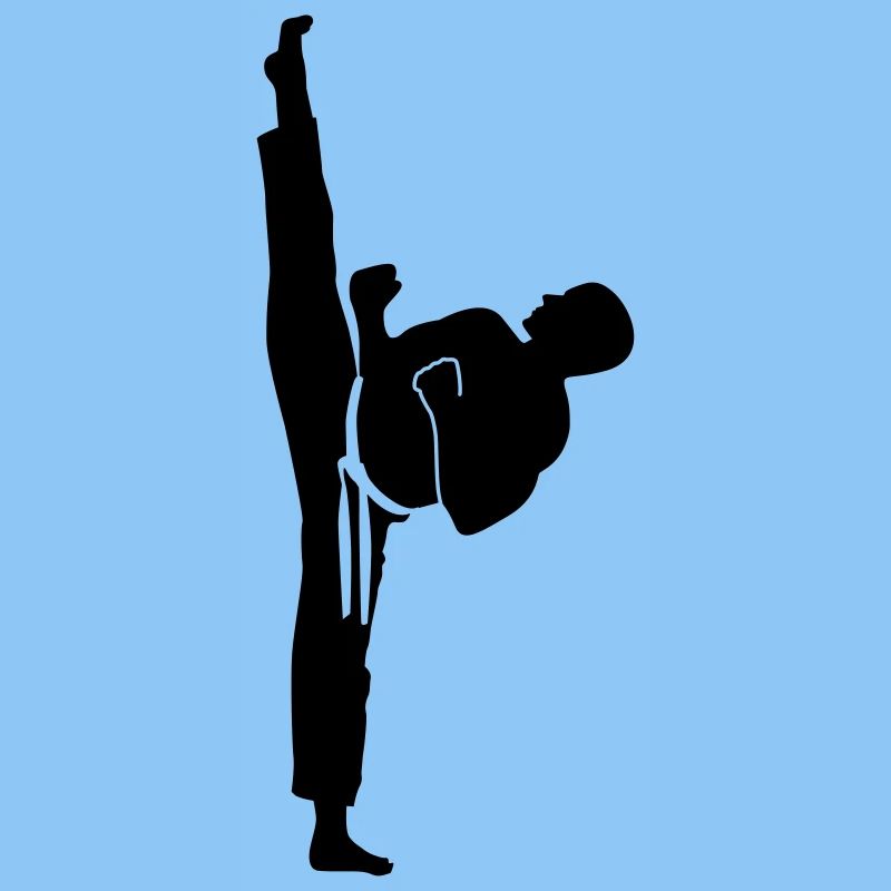 karate kick