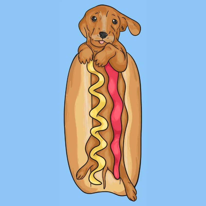 dachshund