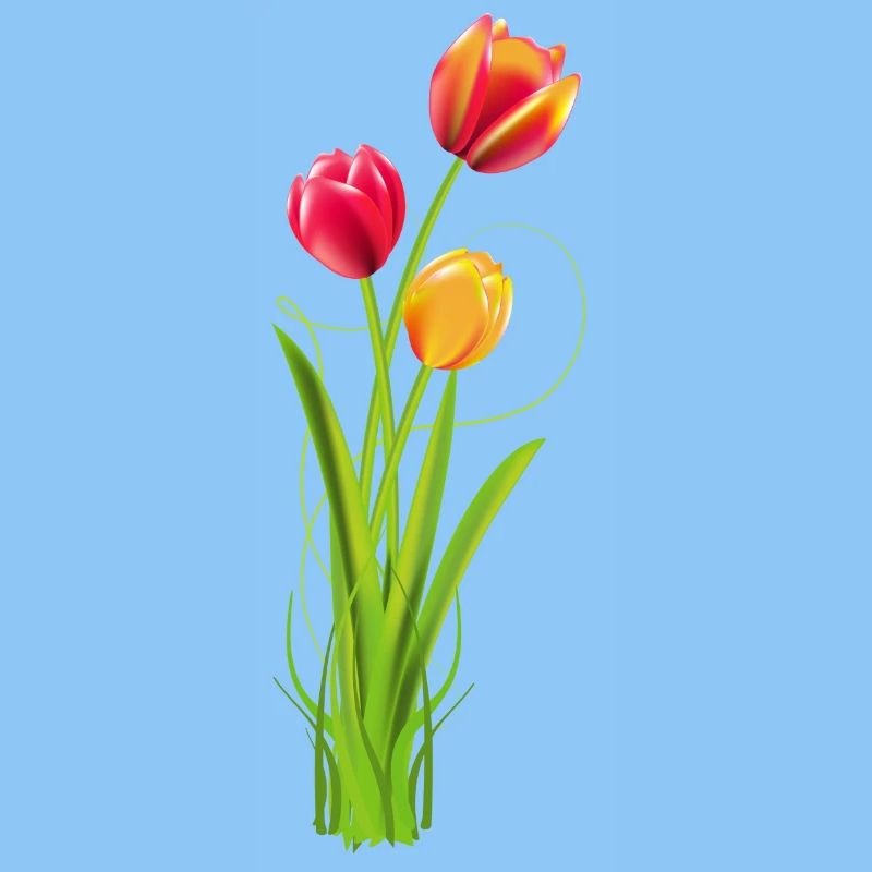 Three brightly coloured tulips as a spring bouquet