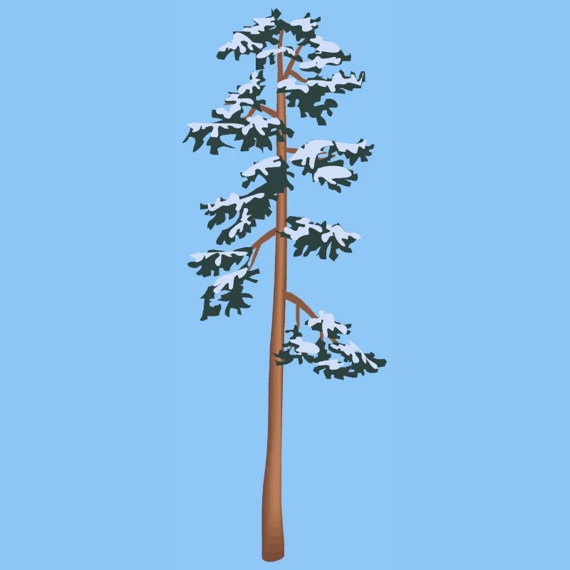hoher Baum mit Schnee
