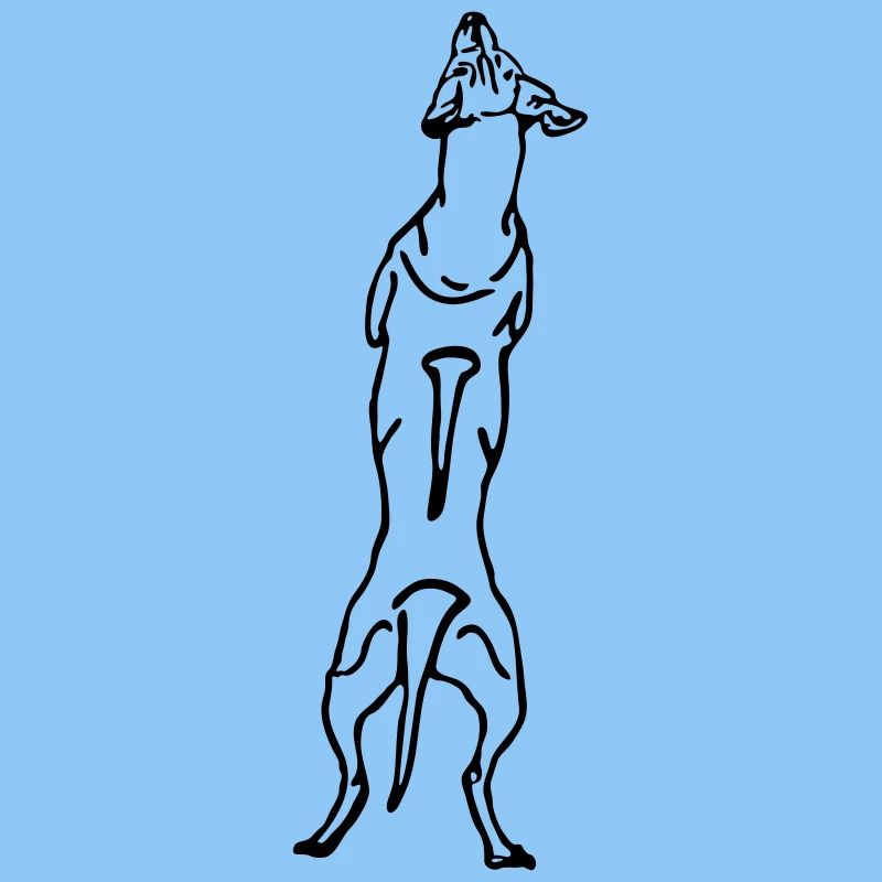 Ridgeback retour