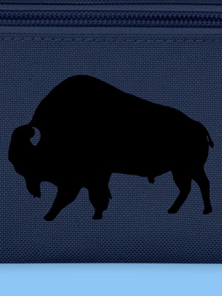 Bison