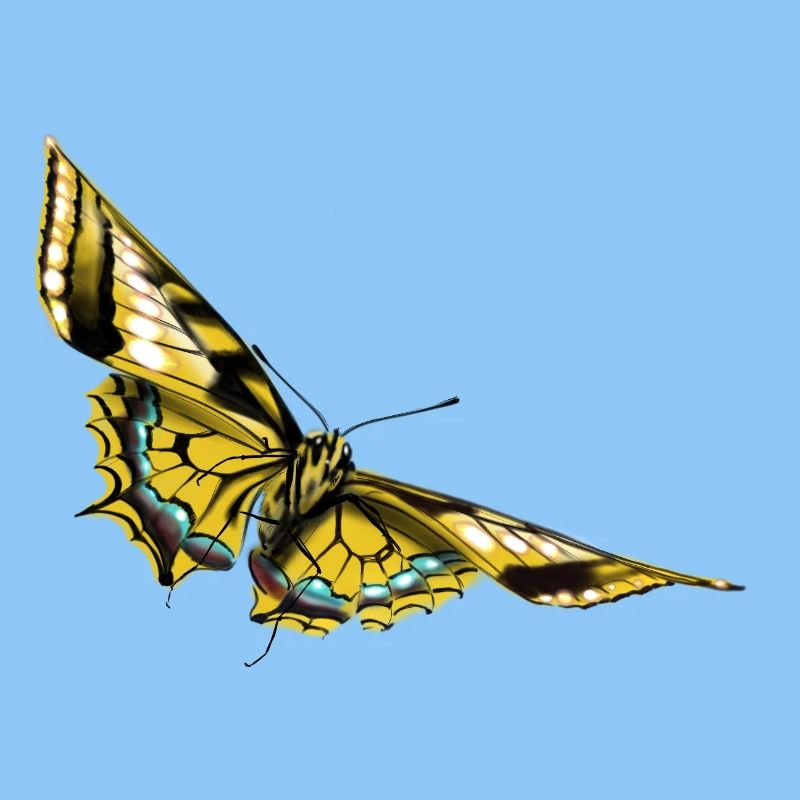 Papillon à ailes dorées