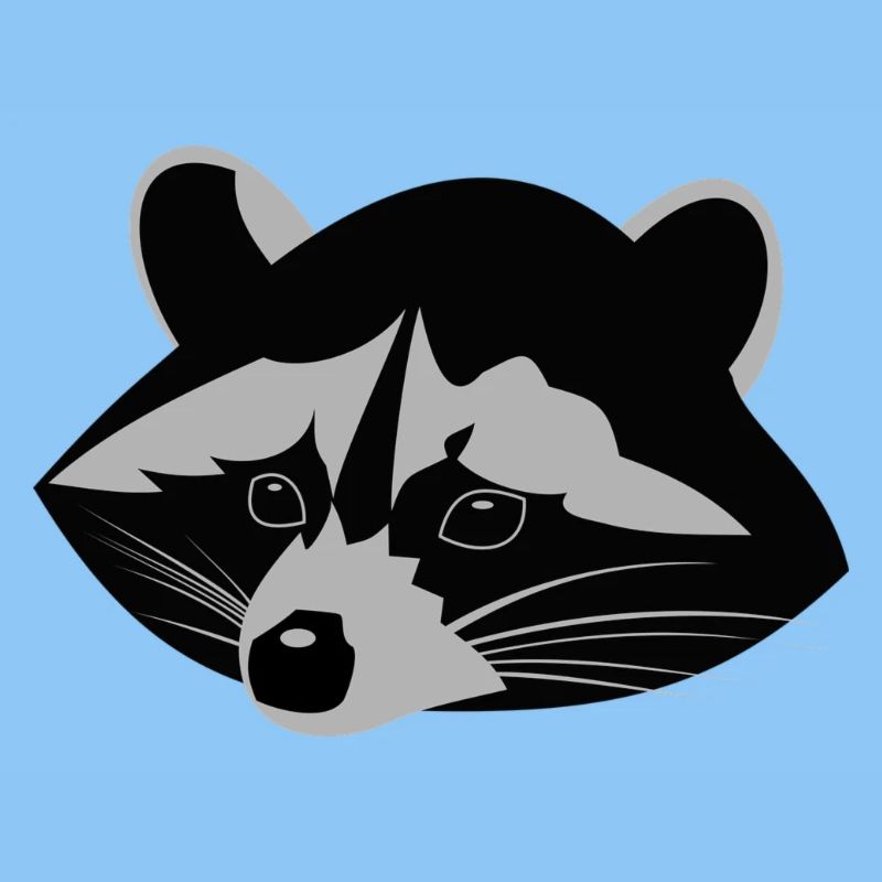 Waschbär ,Racoon