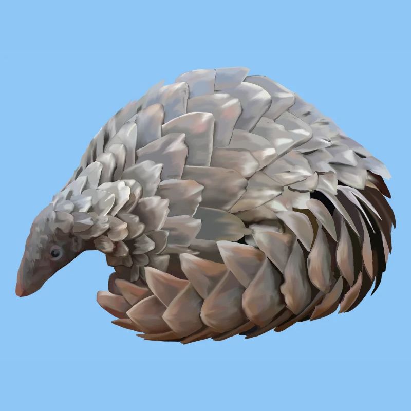 Pangolin dessiné à la main