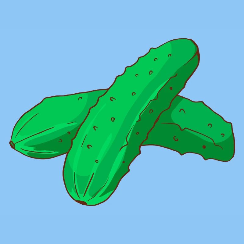 Cornichons cornichons concombres Cornichons concombres