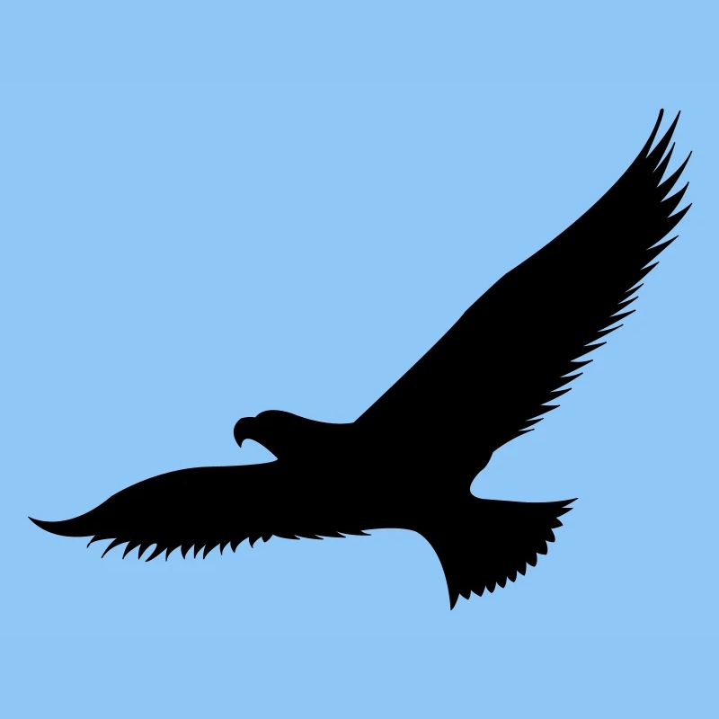 adler1