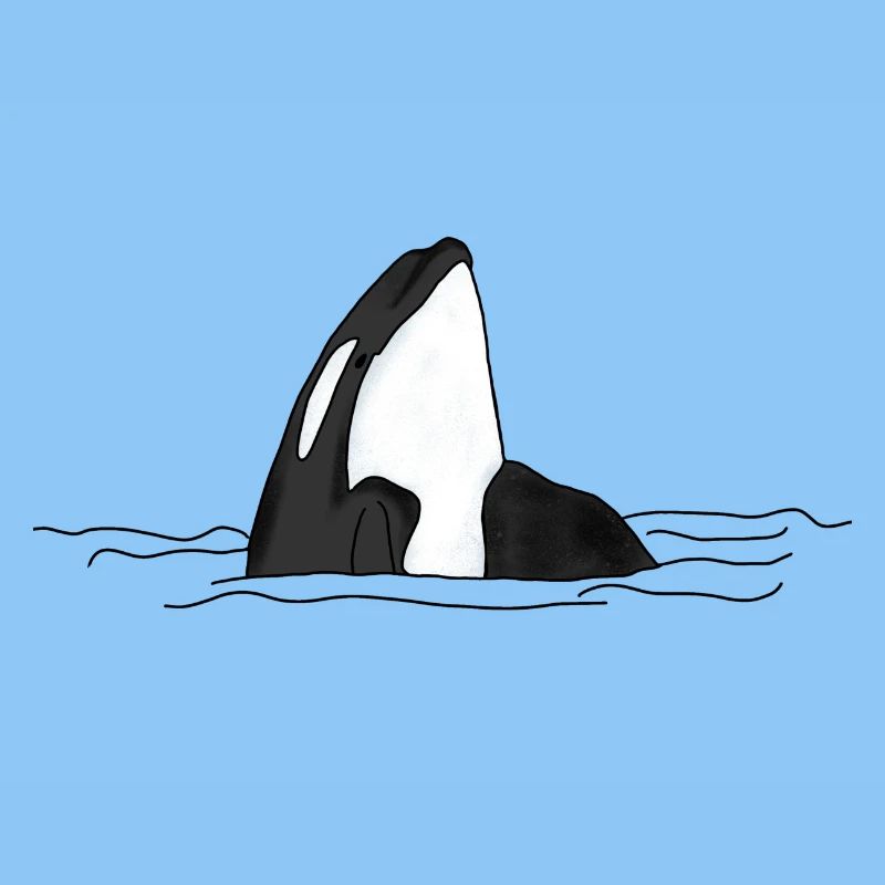 Orca