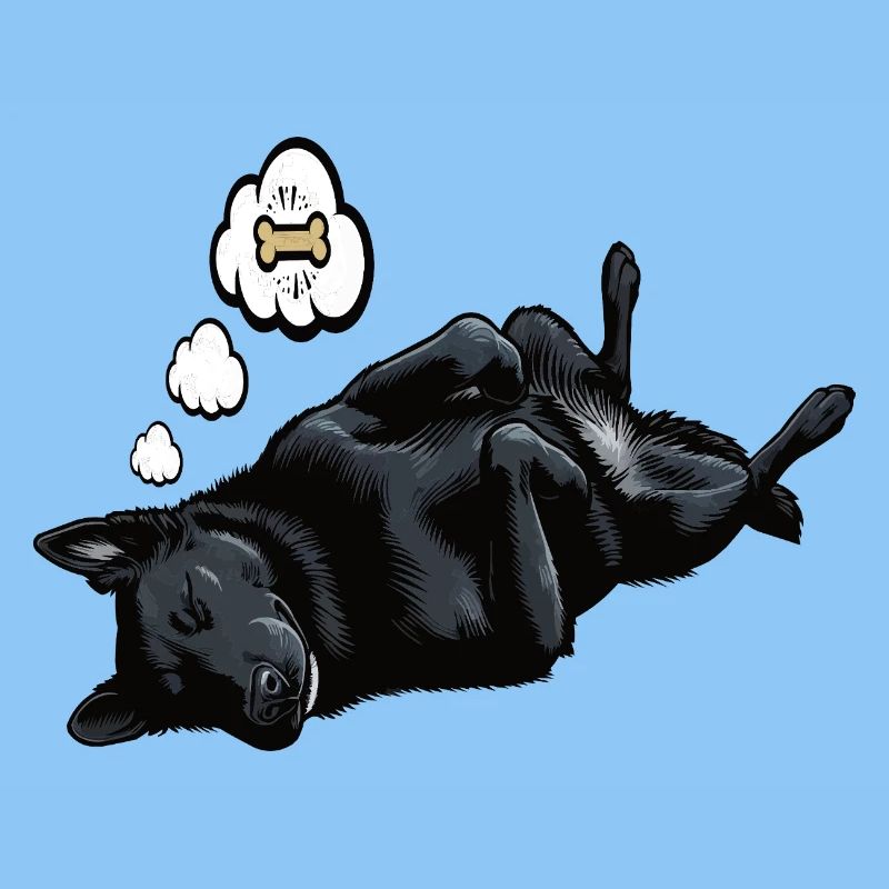  Schwarzer Schäferhund Schäferhundbesitzer 
