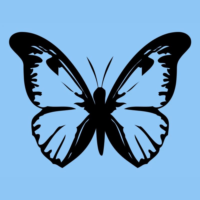 Schmetterling