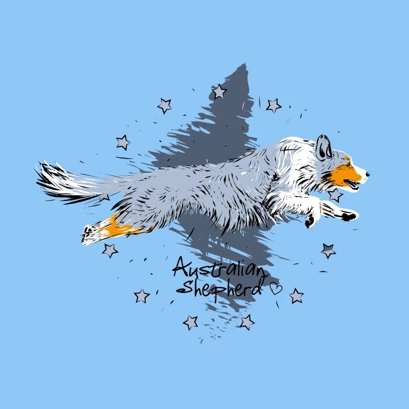 Aussie, blue merle