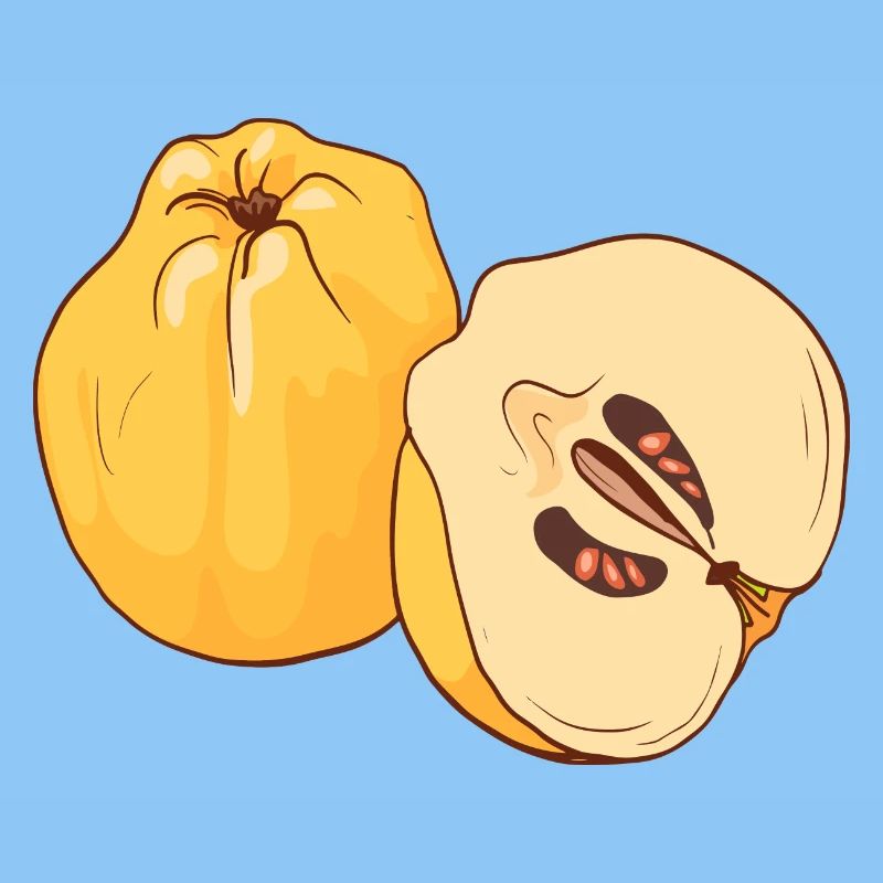 Quitte Quitten Apfel Birne Äpfel Birnen Kernobst