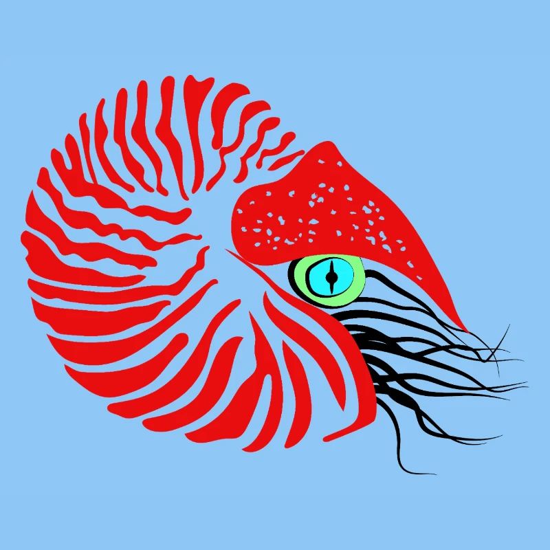 Bateau perlier, ammonite, céphalopode, nautile
