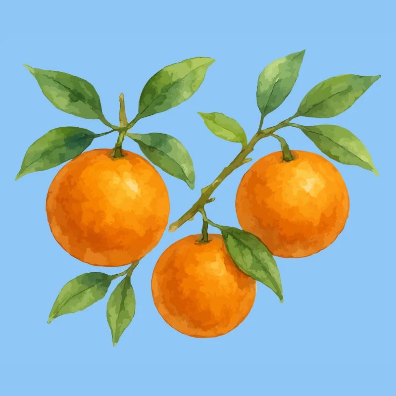 Fruity orange branch