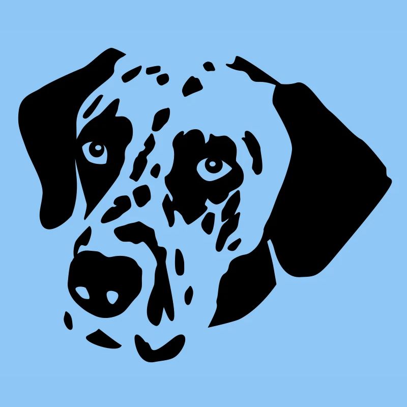 Dalmatiner Hund