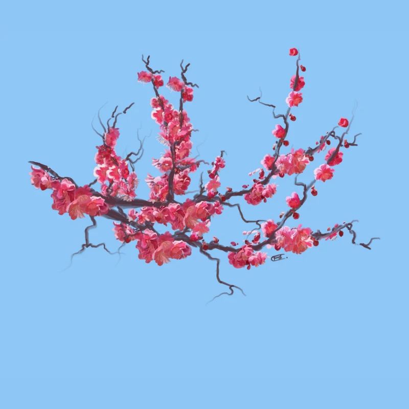 sakura