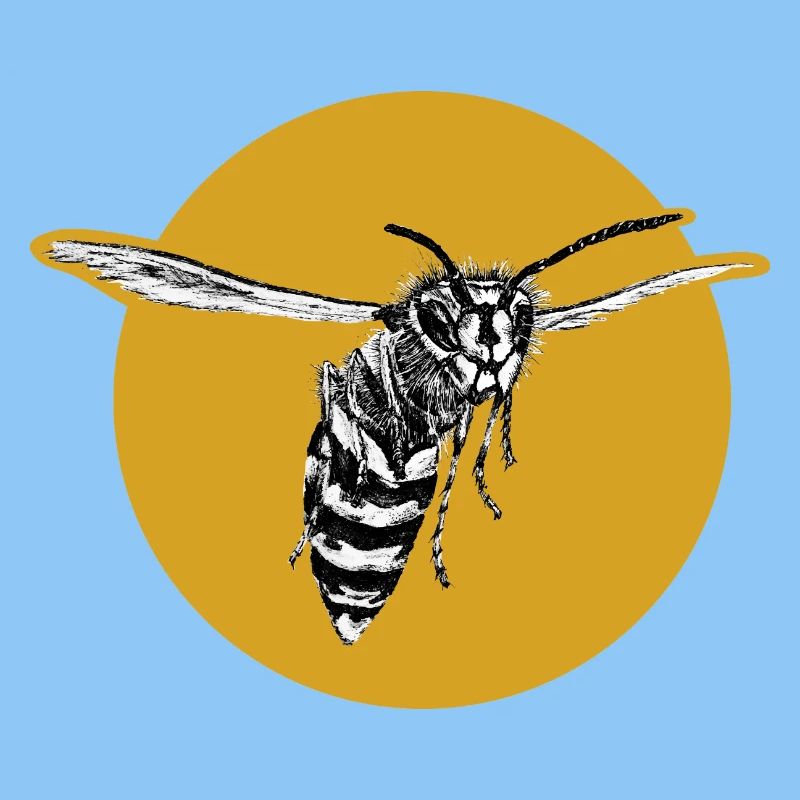 Guêpe - Abeille - Insecte